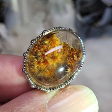 Load image into Gallery viewer, 1256 太陽花925銀魔盒
